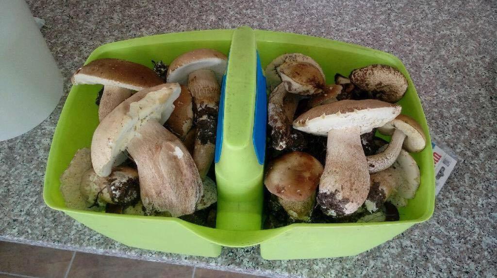 KsiaznikMila Przystan别墅 外观 照片
